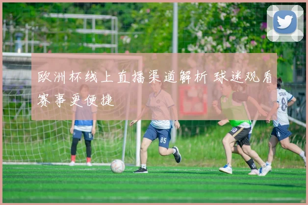 欧洲杯线上直播渠道解析 球迷观看赛事更便捷